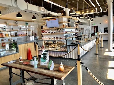 Insa Cannabis Dispensary Easthampton