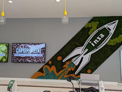 Insa Cannabis Dispensary Largo