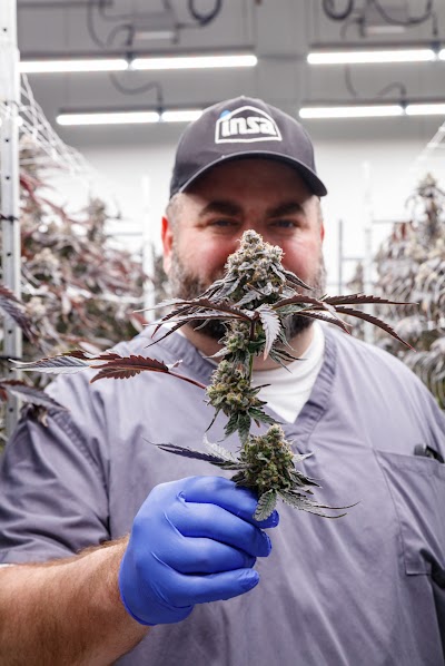 Insa Medical Marijuana Dispensary Newtown Square