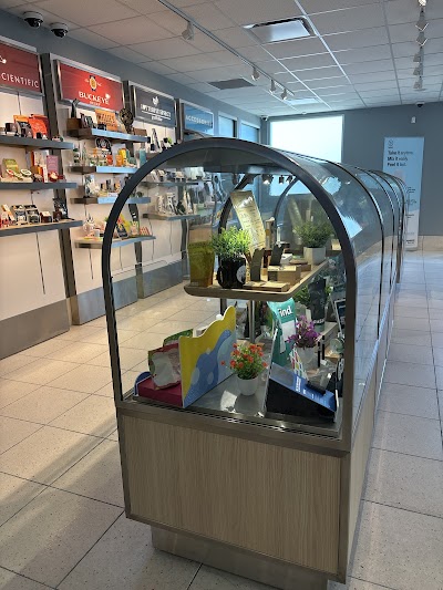 Insa - Willoughby Hills