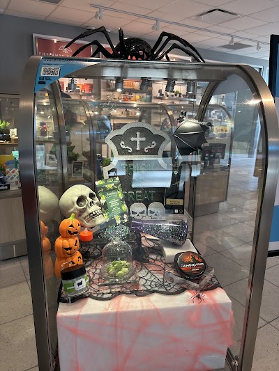 Insa - Willoughby Hills