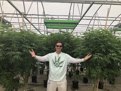 Iona Cannabis Clinic