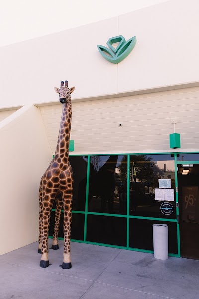 Jaderoom Santa Ana Cannabis Dispensary & Weed Delivery