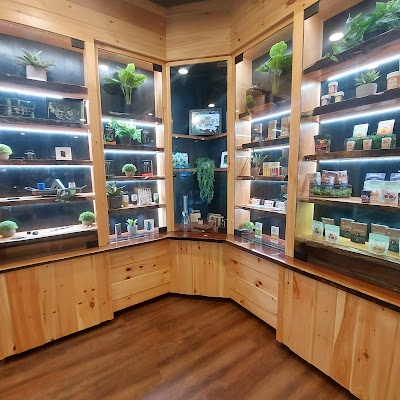 JAR Cannabis Co. (Medical)