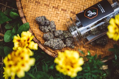JAR Cannabis Co. (Recreational 21+) formerly Herbal Pathways