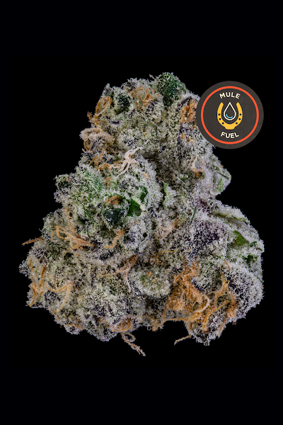 JAR Cannabis Co. (Recreational 21+) formerly Herbal Pathways