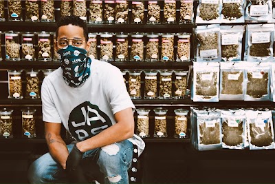 JARS Cannabis Dispensary - East Detroit