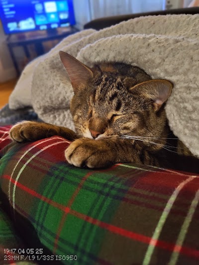 JARS Cannabis Dispensary - New Buffalo US-12