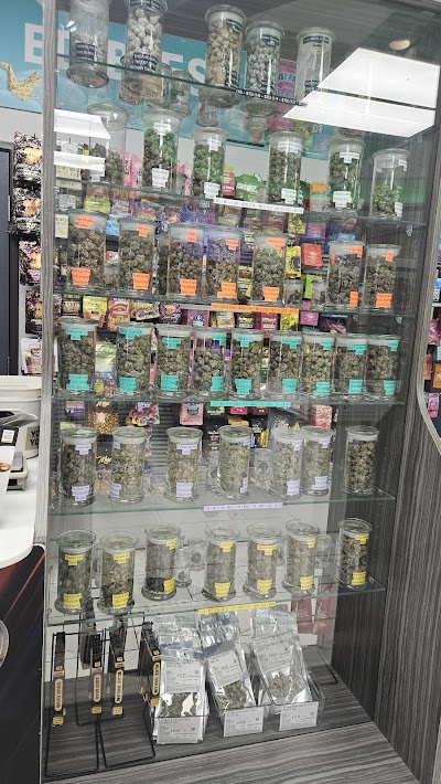 JARS Cannabis Dispensary - West Detroit