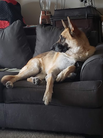 JARS Cannabis - Port Huron