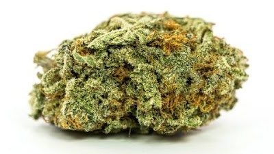 Jones Genetics Dispensary