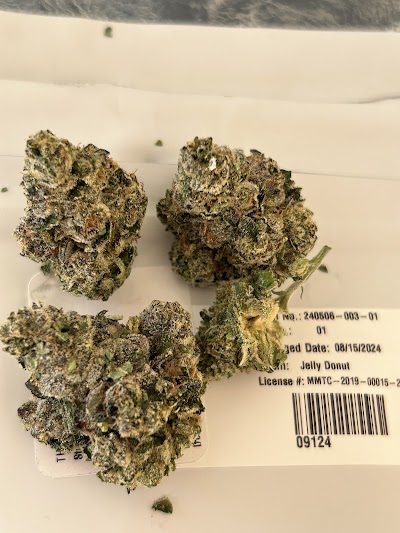 Jungle Boys Bonita Springs Dispensary