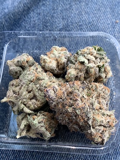 Jungle Boys Deerfield Beach Dispensary