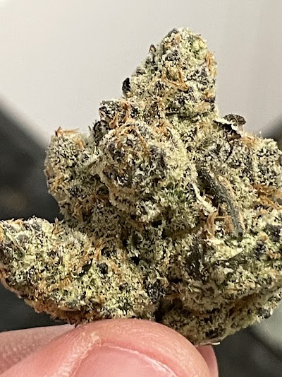 Jungle Boys Miami Dispensary