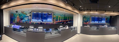 Jungle Boys Tampa Dispensary