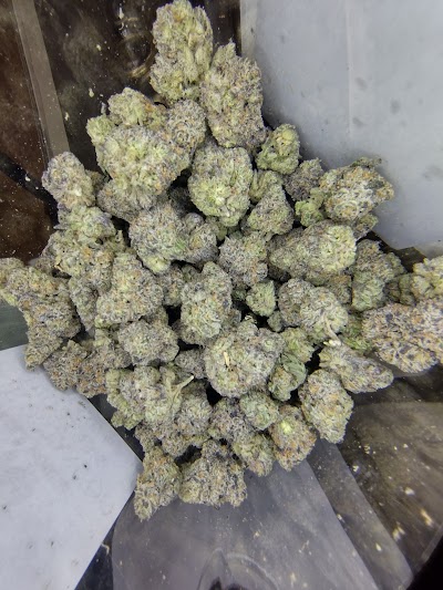 Jungle House Dispensary