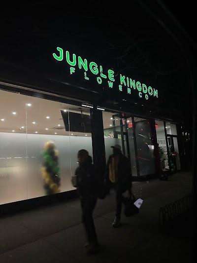 Jungle Kingdom Flower Dispensary