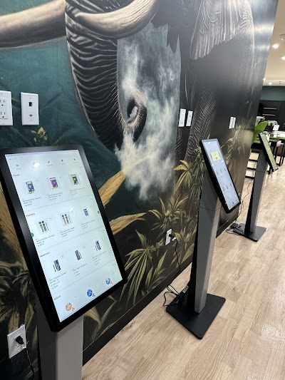 Jungle Kingdom Flower Dispensary