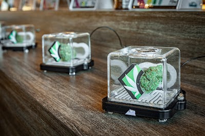 Kansas City Cannabis Company