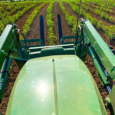 Kentucky Cannabis Company