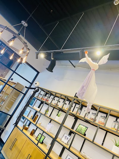 Kind Love Blue Dome District