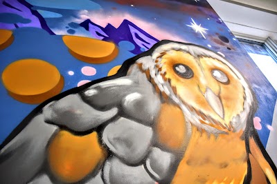 Kingston Cannabis Inc