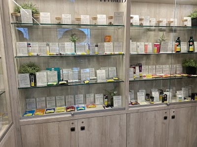 Kushi Cannabis Co | Delta | Cannabis Dispensary