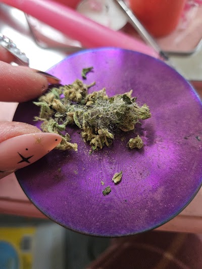 La Mota - Forest Grove