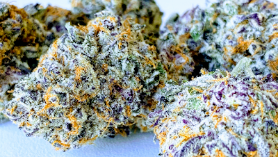 La Mota - Myrtle Point