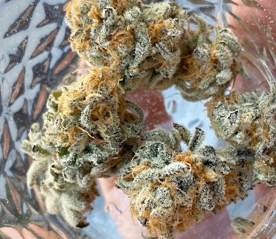 La Mota - Myrtle Point