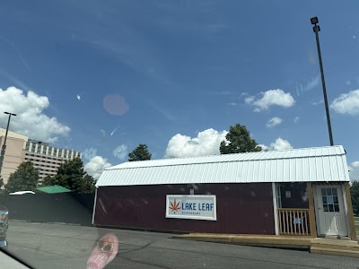 Lake Leaf Cultivation