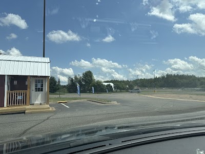 Lake Leaf Cultivation