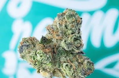 Lava Wellness Dispensary