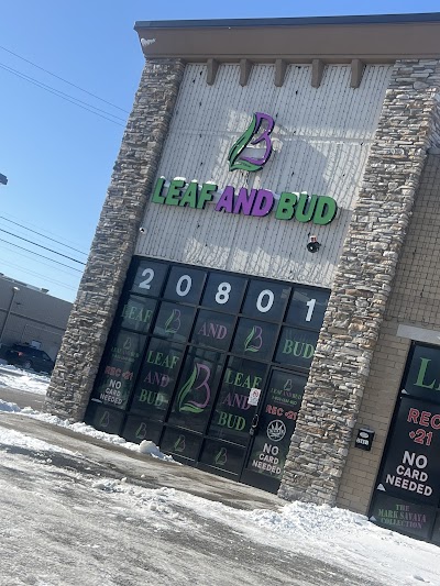 Leaf & Bud Hazel Park