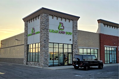 Leaf & Bud Hazel Park