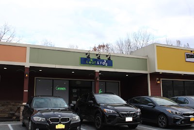 Leaf & Fog NYS Licensed Cannabis Dispensary