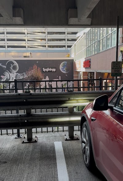 Leafology Cannabis Company