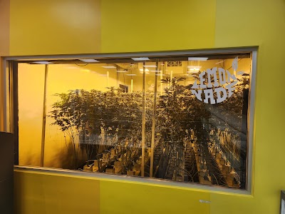 Lemonnade Dispensary Van Nuys