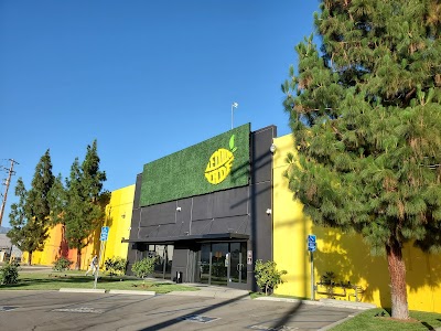 Lemonnade Pacoima