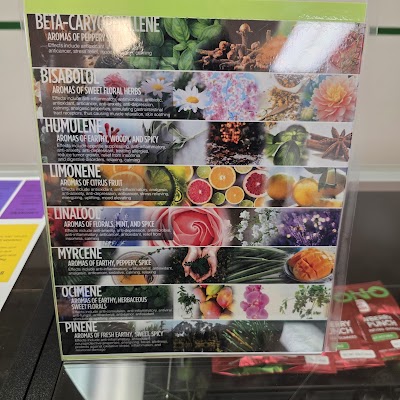 Lift Medical Cannabis