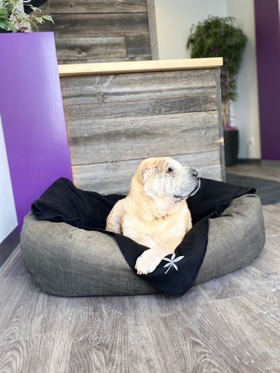 Little Leaf Cannabis Co.