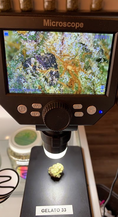 Livwell Meds Sulphur