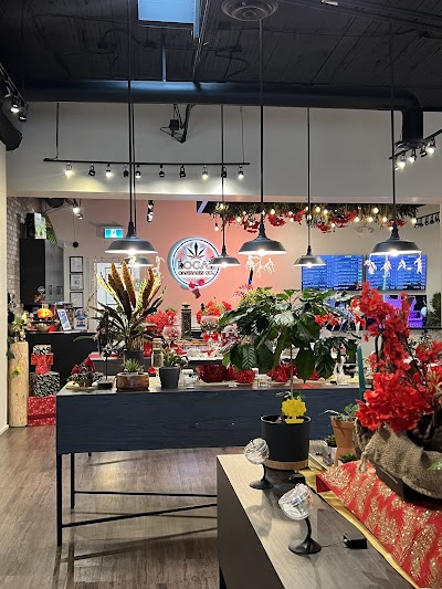 Local Cannabis Co. - Kingsway