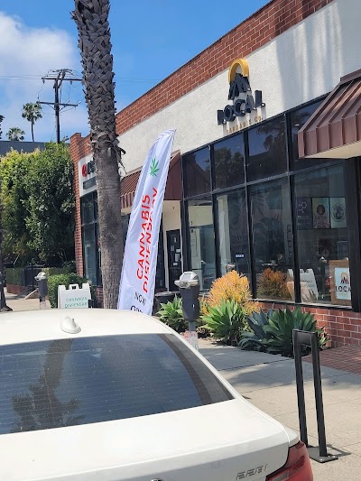 Local Cannabis Company