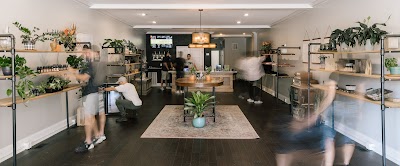 Longleaf Provisions Company