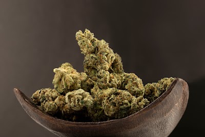 Lotus Gold Cannabis Co Dispensary | Medical Marijuana, Edibles, Topicals, Kratom and much more!