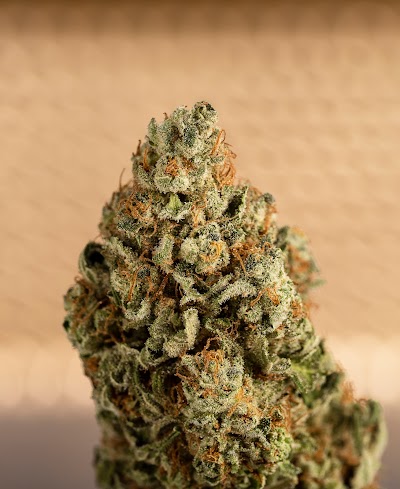 Lotus Gold Cannabis Co Dispensary | Medical Marijuana, Edibles, Topicals, Kratom and much more!