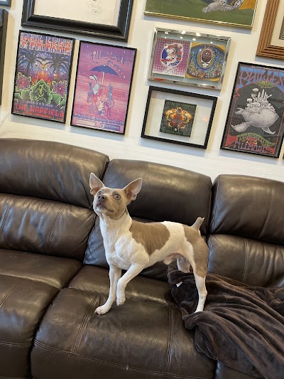 Lucky Dog Cannabis Co