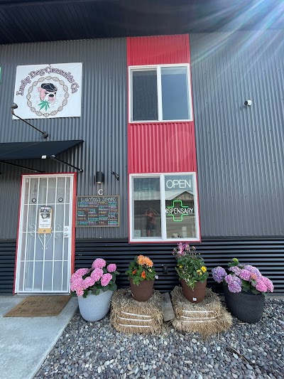 Lucky Dog Cannabis Co