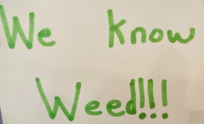 Lucky Leaf Cannabis Patterson